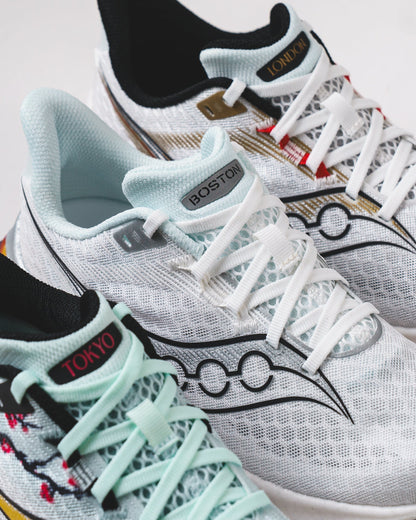 Saucony Men Endorphin Speed 5 White Multi S21007-403