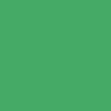 Globe CT-4 Shoes - Green
